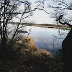 Weideblick
