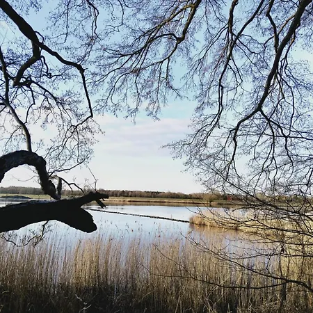 Weideblick Schnakenbek